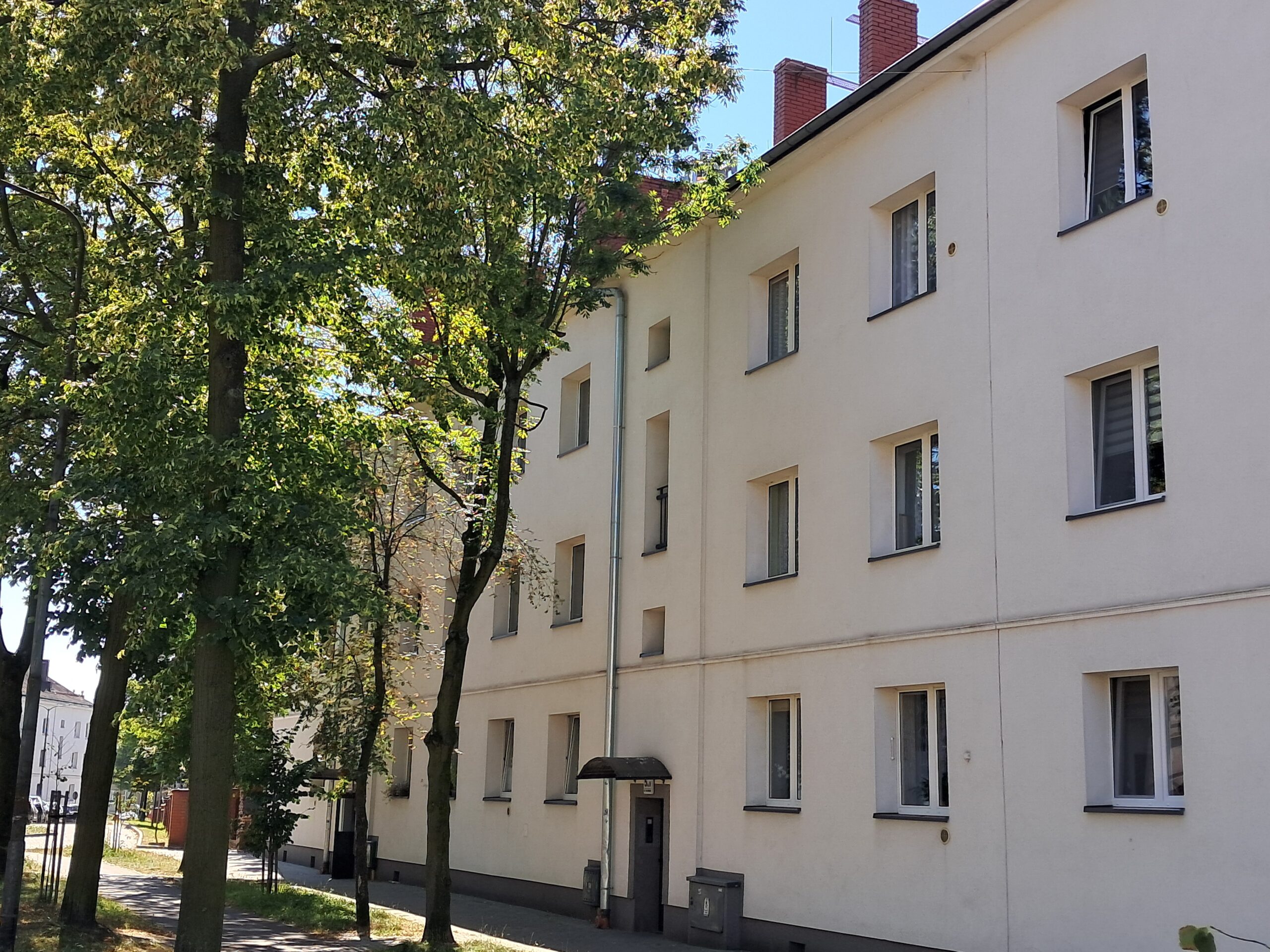 Maczka 5