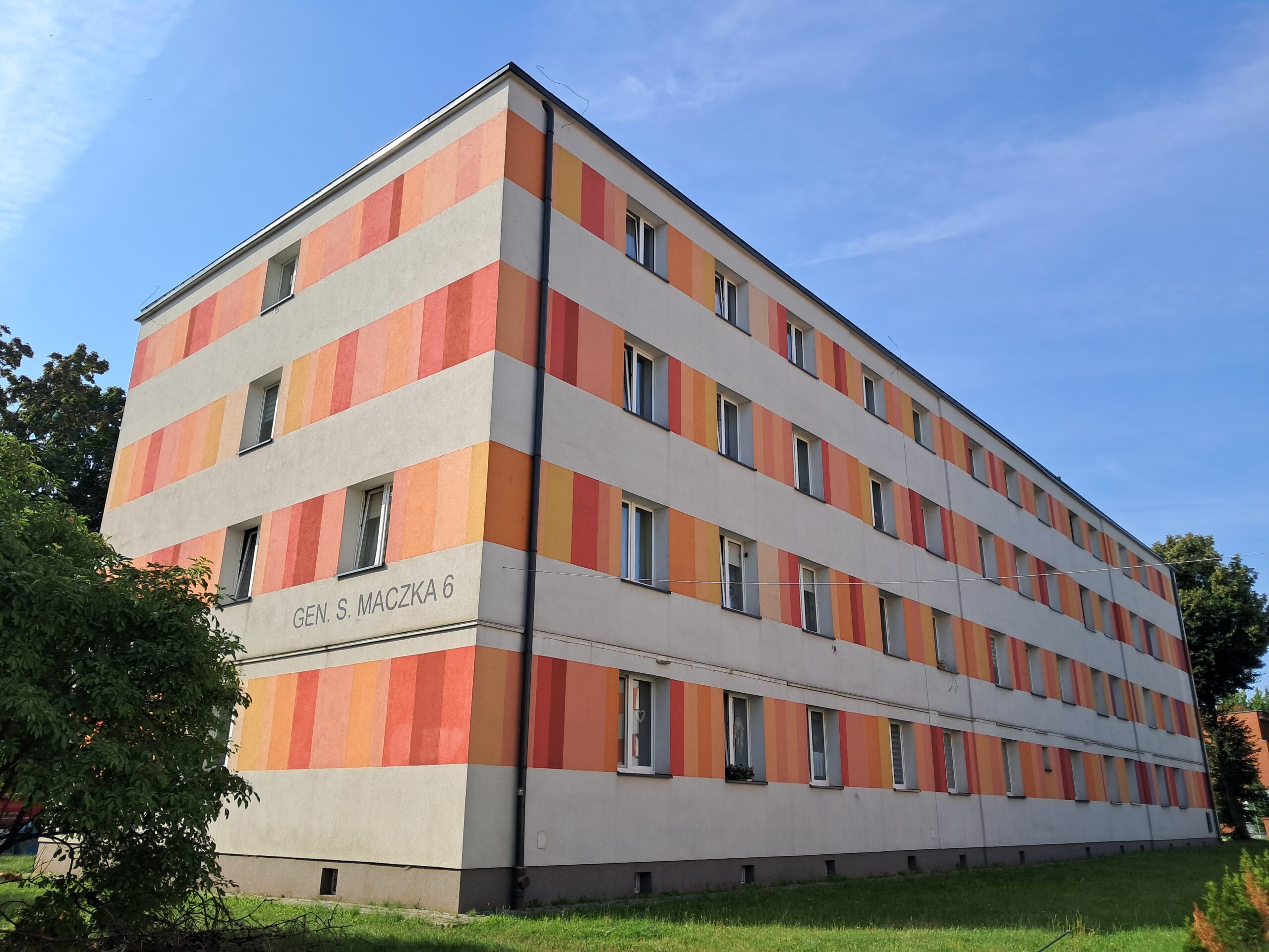 Maczka 6