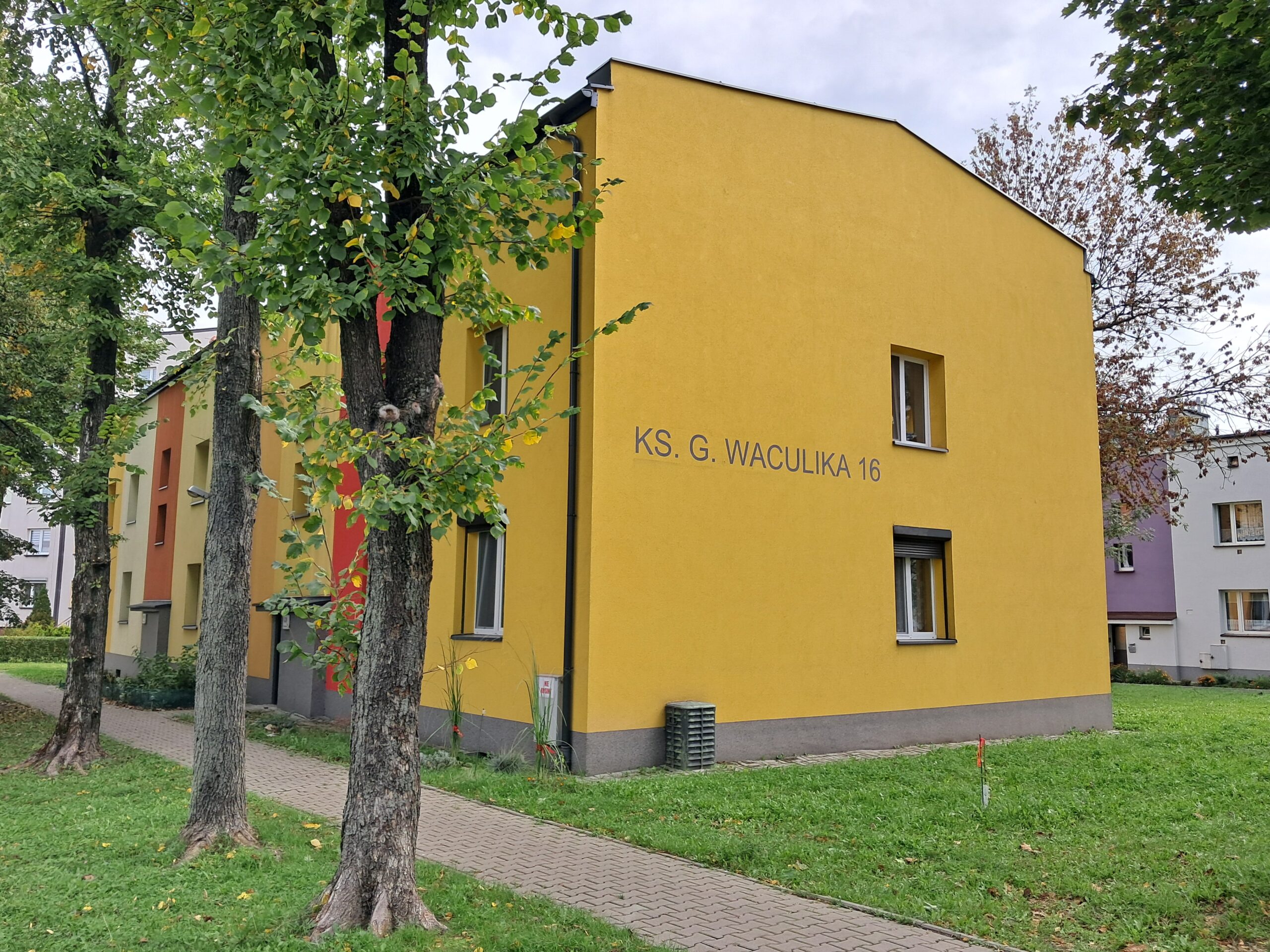 Waculika 16