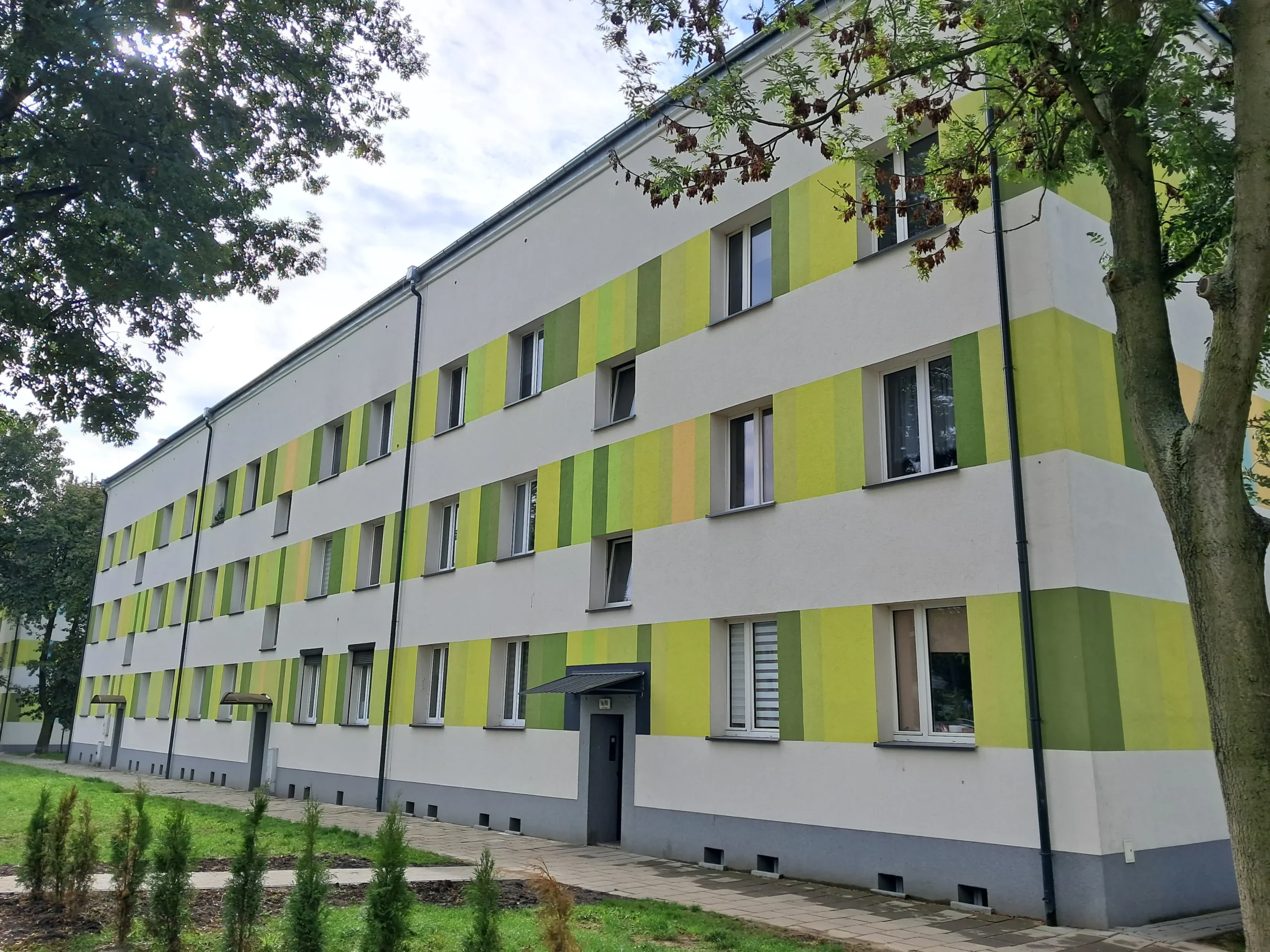 Maczka 16