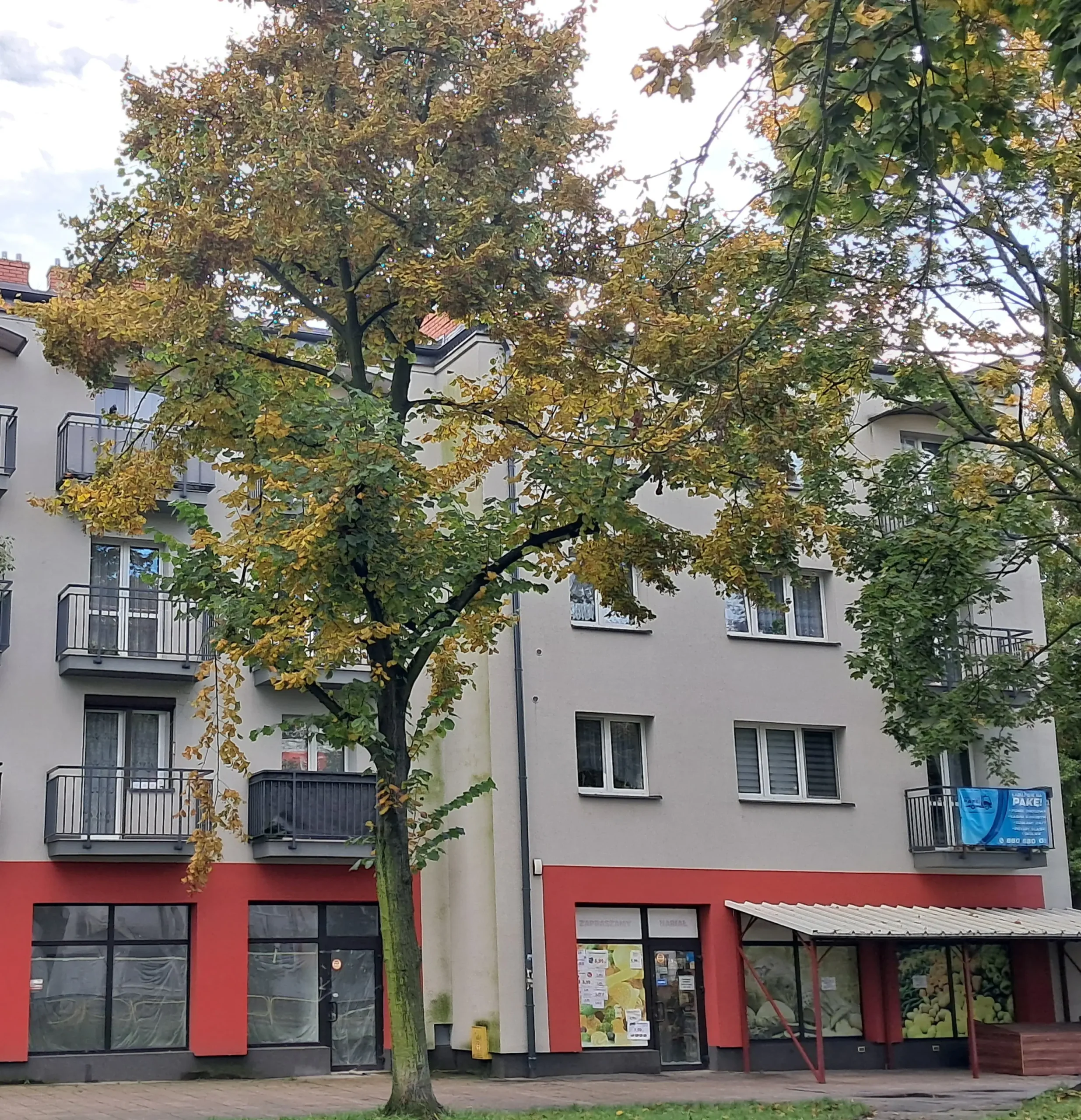 Ziętka 27 – kiedyś i dziś