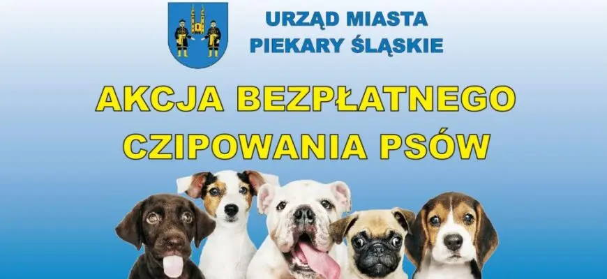 Akcja czipowania psów